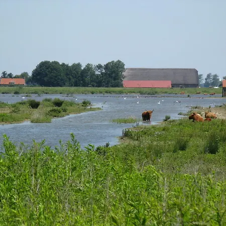 Bed and breakfast Pure Passie 3*