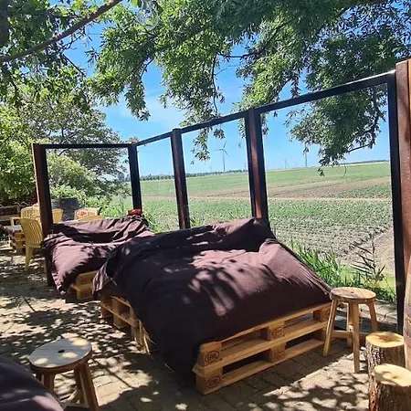 Pure Passie Bed and breakfast