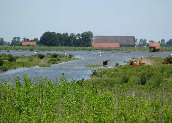 Bed & Breakfast Pure Passie 3*