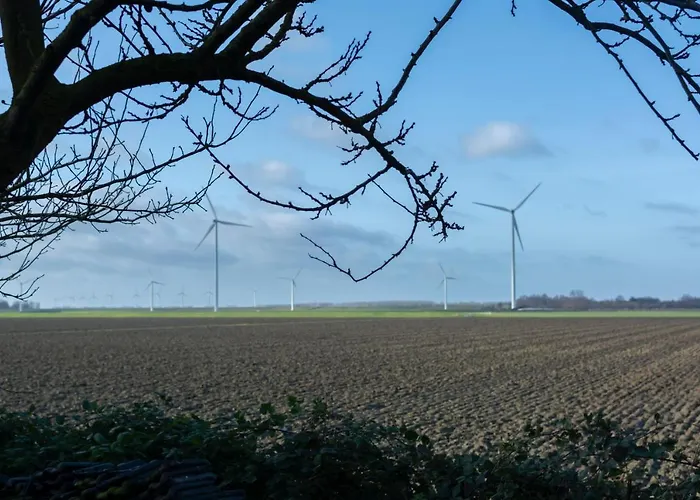 Nocleg ze śniadaniem Pure Passie Willemstad (North Brabant)